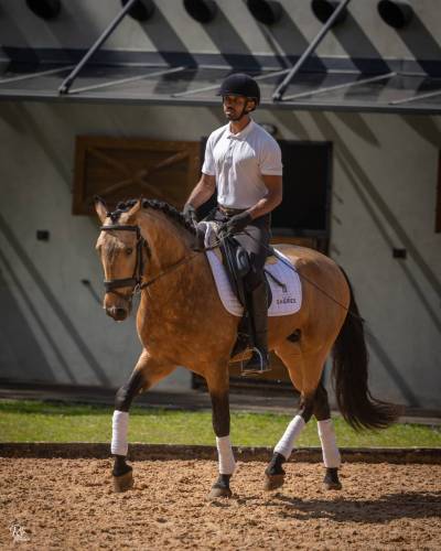 Noah-ViladeSagres-LusitanoWorld-ByRitaVitorino1015