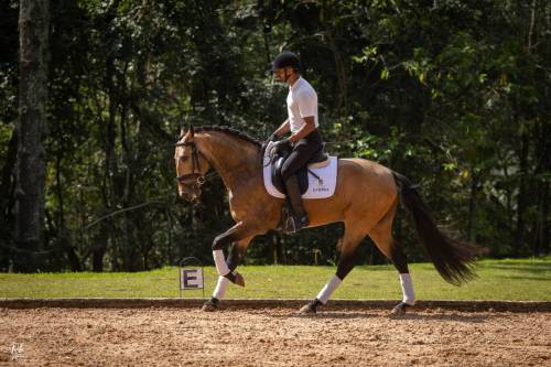 Noah-ViladeSagres-LusitanoWorld-ByRitaVitorino1324